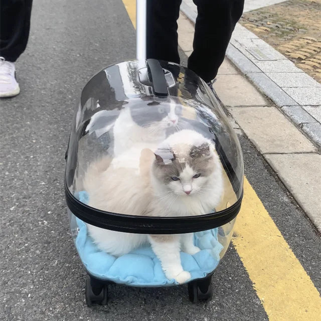 New Transparent Capsule Pet Travel Trolley Carriers Bag Stroller for 10kg Puppies Dogs Cat with Wheel